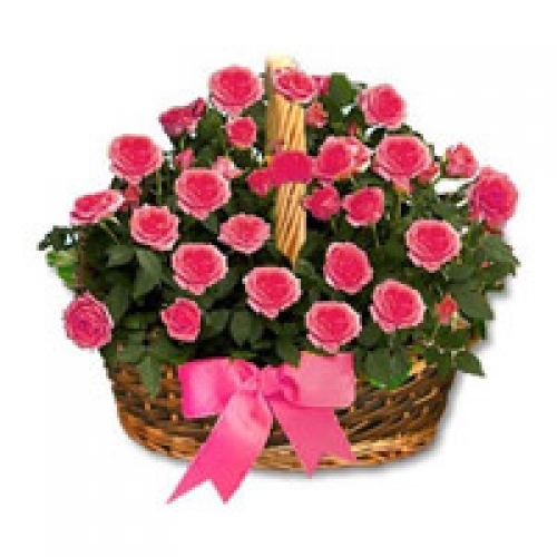 Sentimental Surprise -24 Stems Basket